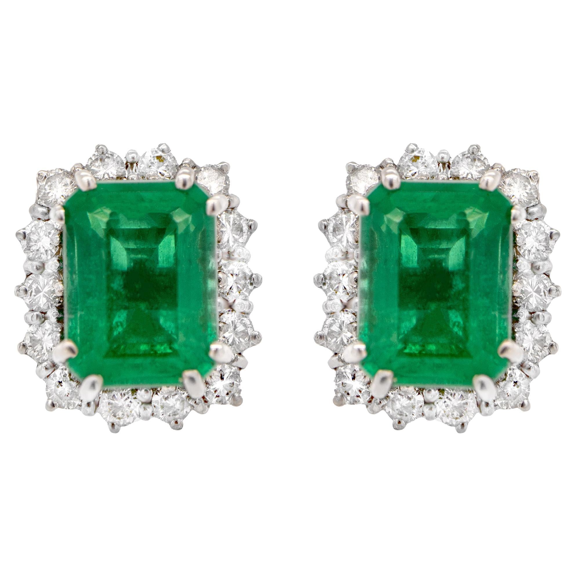 IGI Certified Emerald Stud Earrings Diamond Halo 4.49 Carats 18K Gold