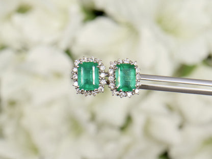IGI Certified Emerald Stud Earrings Diamond Halo 4.49 Carats 18K Gold